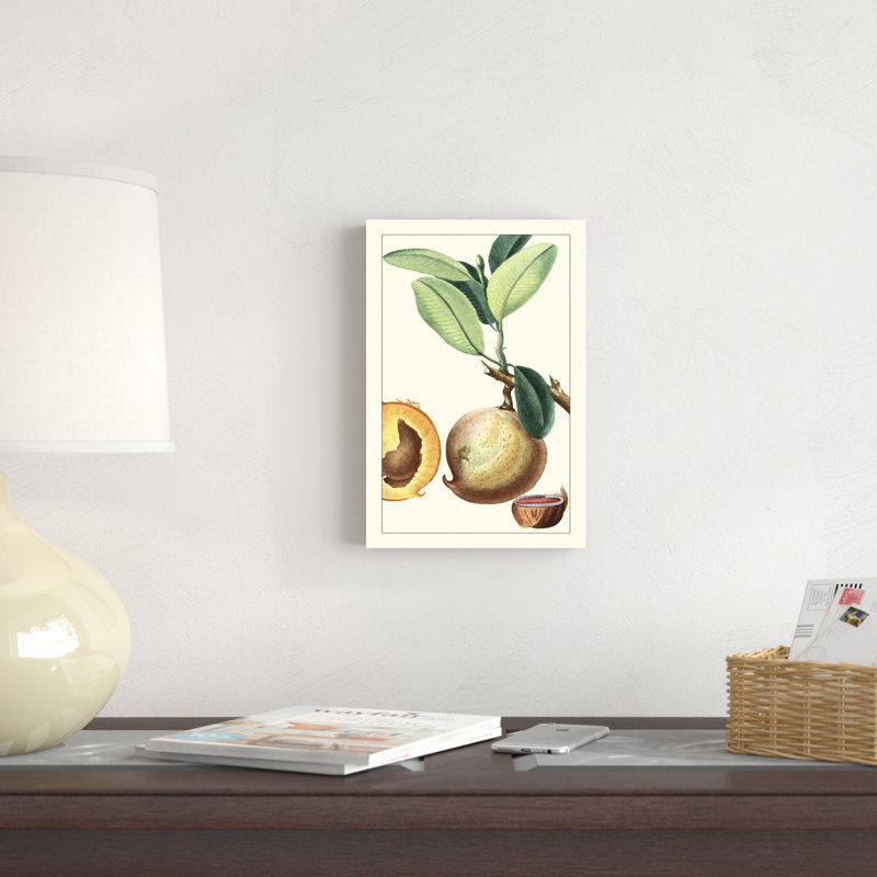 Turpin exotique botanique II, H 12 po x l 8 po x P 1,25 po