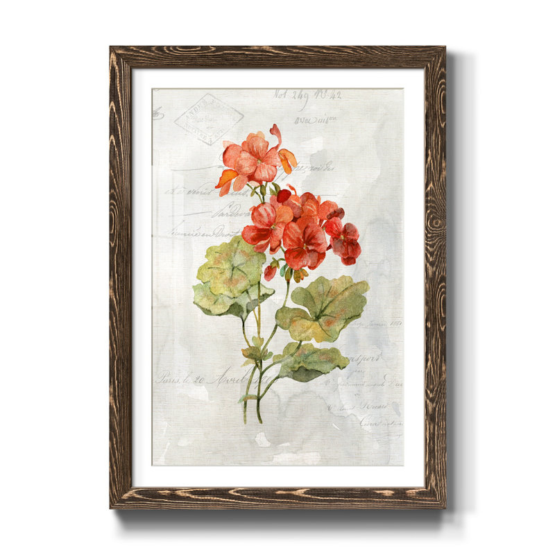 Lin géranium - encadré, reproduction d'art sur papier, H 37,5 po x l 27,5 po x P 1,5 po, Noyer