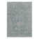 Sapphire Oriental Area Rug in Gray