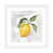 White Paper n'est pas disponible