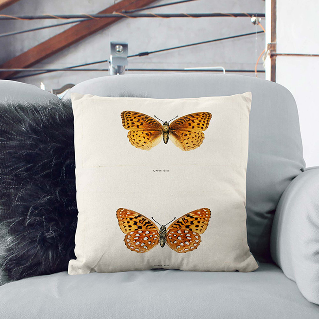Aphrodite Fritillary Butterfly by S.F. Denton Cushion with Filling