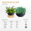 Grand pot à fleurs K22-114407584-114407583