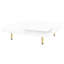 Table basse chic avec pieds dorés et solutions de rangement polyvalentes 2 fonctionnelles