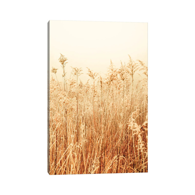 Nordic Winter II by Olivia Joy StClaire - Wrapped Canvas Print, 66.04 cm H x 45.72 cm W x 3.175 cm D