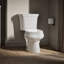Wellworth® 1.28 GPF Water Efficient Round Two-Piece toilet (Seat Not Included)-10980013-101431273