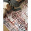 Rokeisha Washable Oriental Indoor Rug-624627057