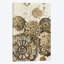« africain cercles », impression sur toile-29680347-74412314-74412308