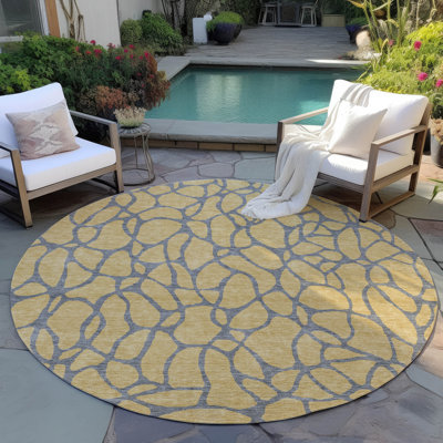  Machine Washable Indoor/Outdoor Chayden ACN1023 Rug