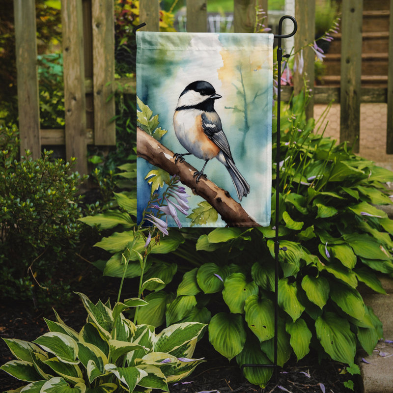 Drapeau de jardin, Mésange à tête noire du Massachusetts