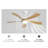 Prana 52'' Ceiling Fan with LED Lights-1107817980