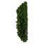 30" Deluxe Sequoia Pine Wreath 240T