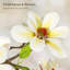 Arbre de magnolia artificiel 4/5/6 pi - Faux plantes réalistes avec pot blanc pour décoration intérieure et extérieure-657270196