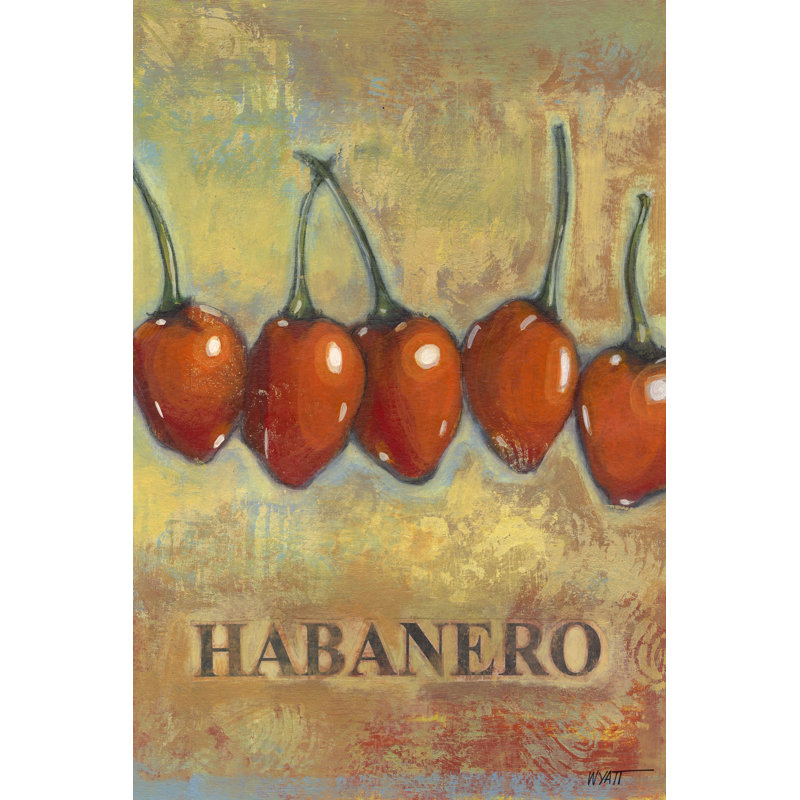 Habanero by Norman Wyatt Jr. - Wrapped Canvas Print, 91cm H x 61cm W