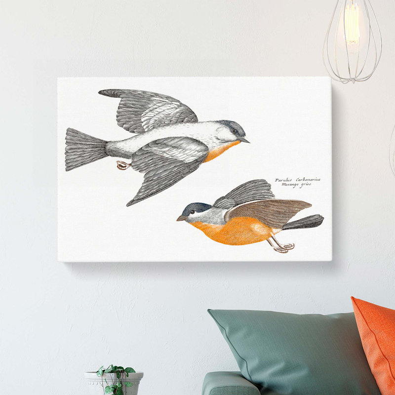 Grey Fluff Tits by Johan Teyler - Wrapped Canvas, 40cm H x 60cm W x 3cm D