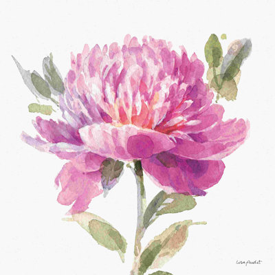 De toute évidence rose 05A