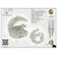 Grenouille 50 po - Tube-99414316