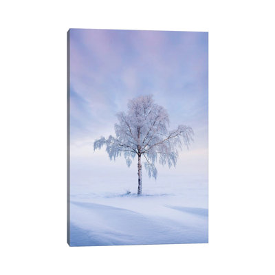 Solitude II by Lauri Lohi - Wrapped Canvas Print