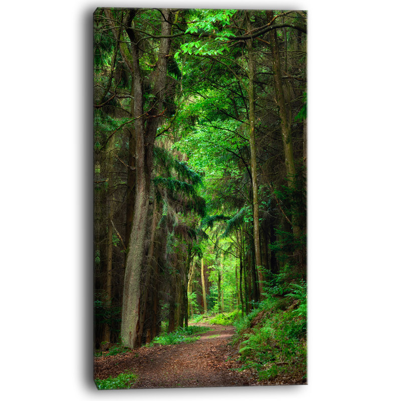 Landscape Dense Forest Greenery Canvas Wall Art - Dreamy Forest, 32" H x 16" W x 1" D