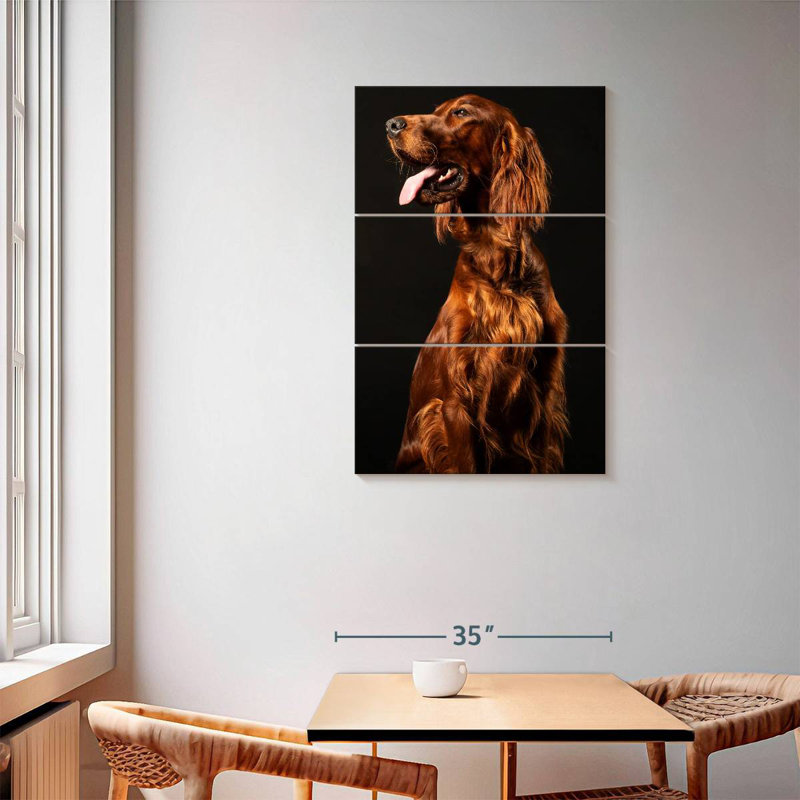Setter irlandais Brampt, H 57 po x l 36 po