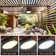 51cm Caged Ceiling Fan with LED Light and Remote Control