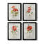 Lin géranium - ensemble de 4 peintures sur toile encadrées-1811164008-1811164009