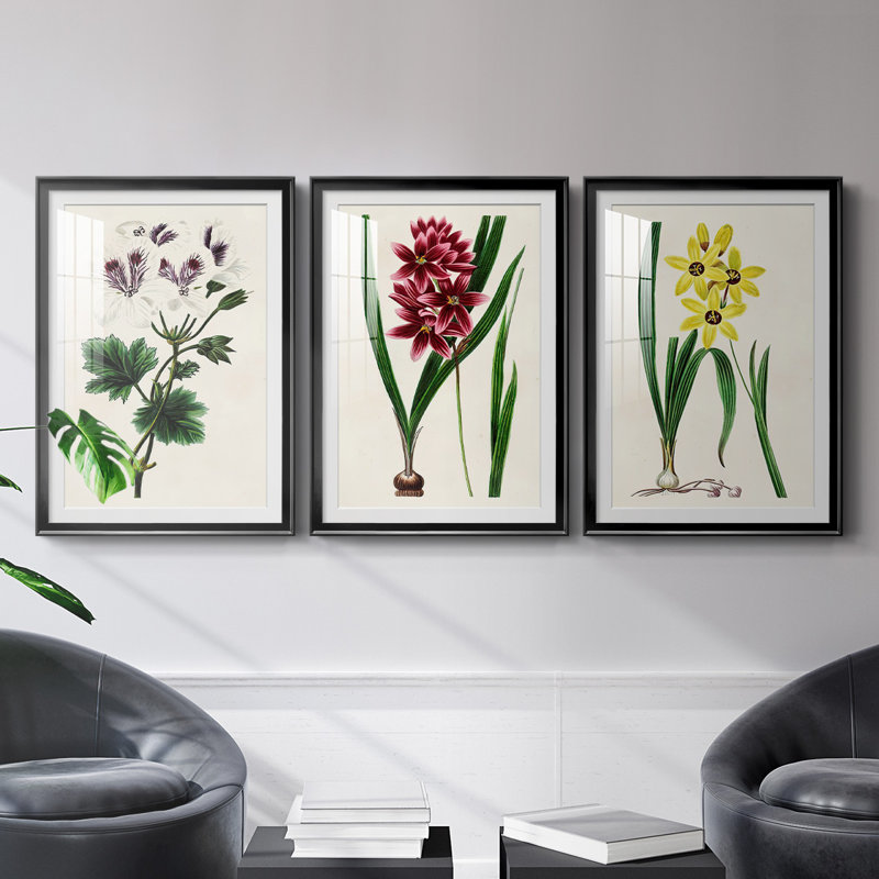 Reproduction encadrée antique de qualité florale antique - prête à être accrochée, Noir, H 30,5 po x l 67,5 po x P 1,25 po