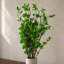 Artificial Arrangement