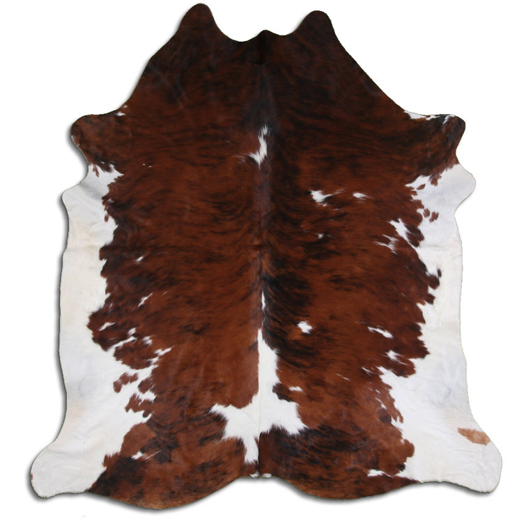 Foundry Select Cowhide Animal Print Rug - Wayfair Canada