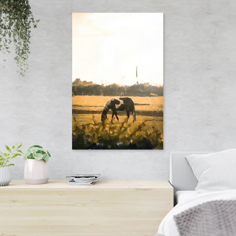 MentionedYou Black And White Horse On Green Grass Field On Canvas ...