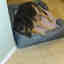 Customer photo 1 of 2