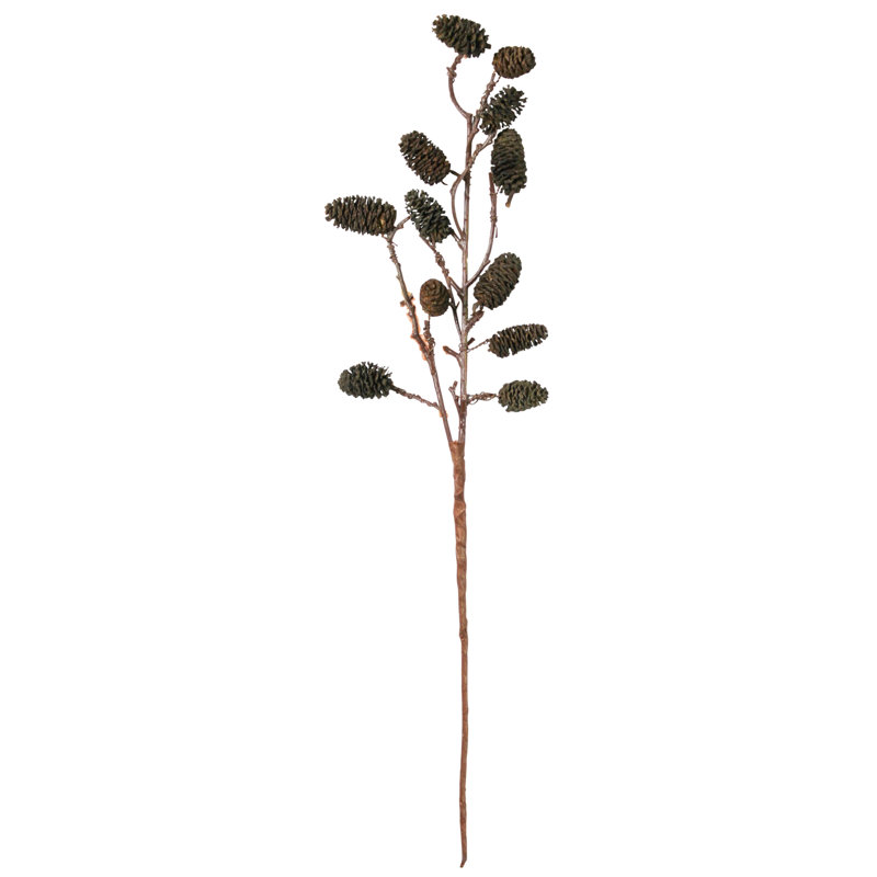 Seaside Alder Arrangement