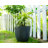 Karola Pot Planter-1267224129-1267224139