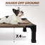 Lit pour chien Cooling Elevated-1581539443-1581539441