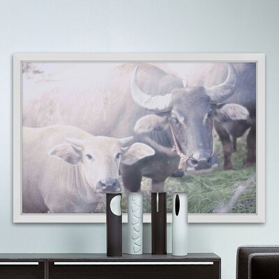 Curious Bovines' Framed Painting Print -  Marmont Hill, MH-COLORA-25-NWFP-18