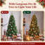 Fir Christmas Tree-900500789