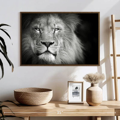 Portrait de lion