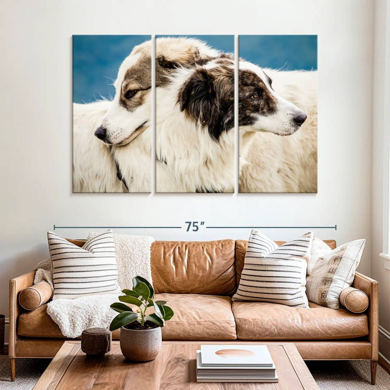 Brampt Australian Shepherd Dogs, 42" H x 65" W