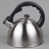 Stainless Steel is out of stock selected