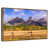 Floating Frame Gold