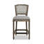 Roquefort Upholstered Counter Stool-74307451