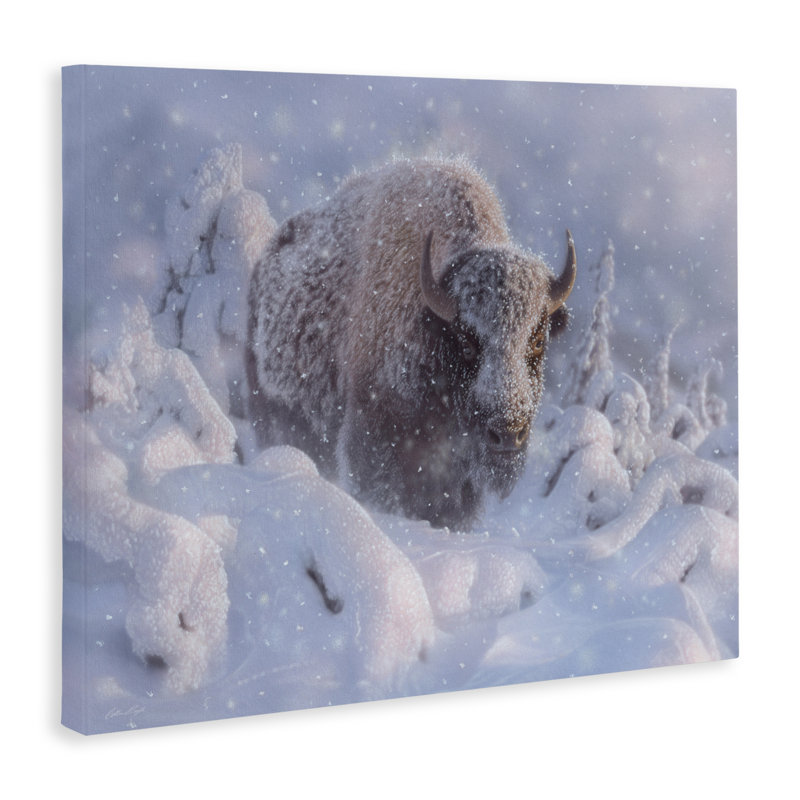 Bison d'hiver dans une toile profonde, design par Collin Bogle, H 30 po x l 40 po