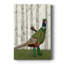 Toile tendue avec châssis Pheasant-1205638429
