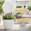 Ensemble de 3 pots de fleurs ronds en béton avec trous de drainage et bouchon en caoutchouc, empilables, pour jardin, terrasse ou balcon d'intérieur et d'extérieur.-1097311994