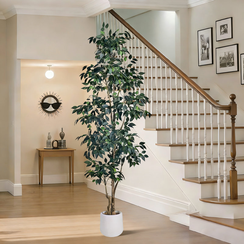 Faux Ficus Tree in Pot, 213.4 cm x 24.9 cm