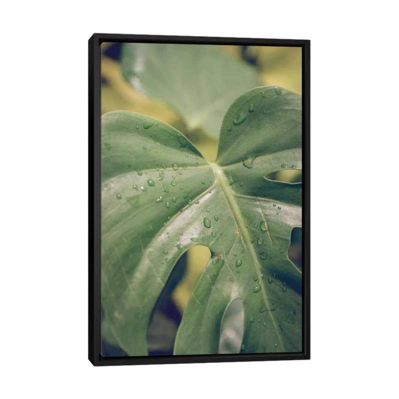 Feuilles VI - Impression sur toile, H 26 po x l 18 po x P 1,5 po, Toile avec cadre noir, Pas de tapis