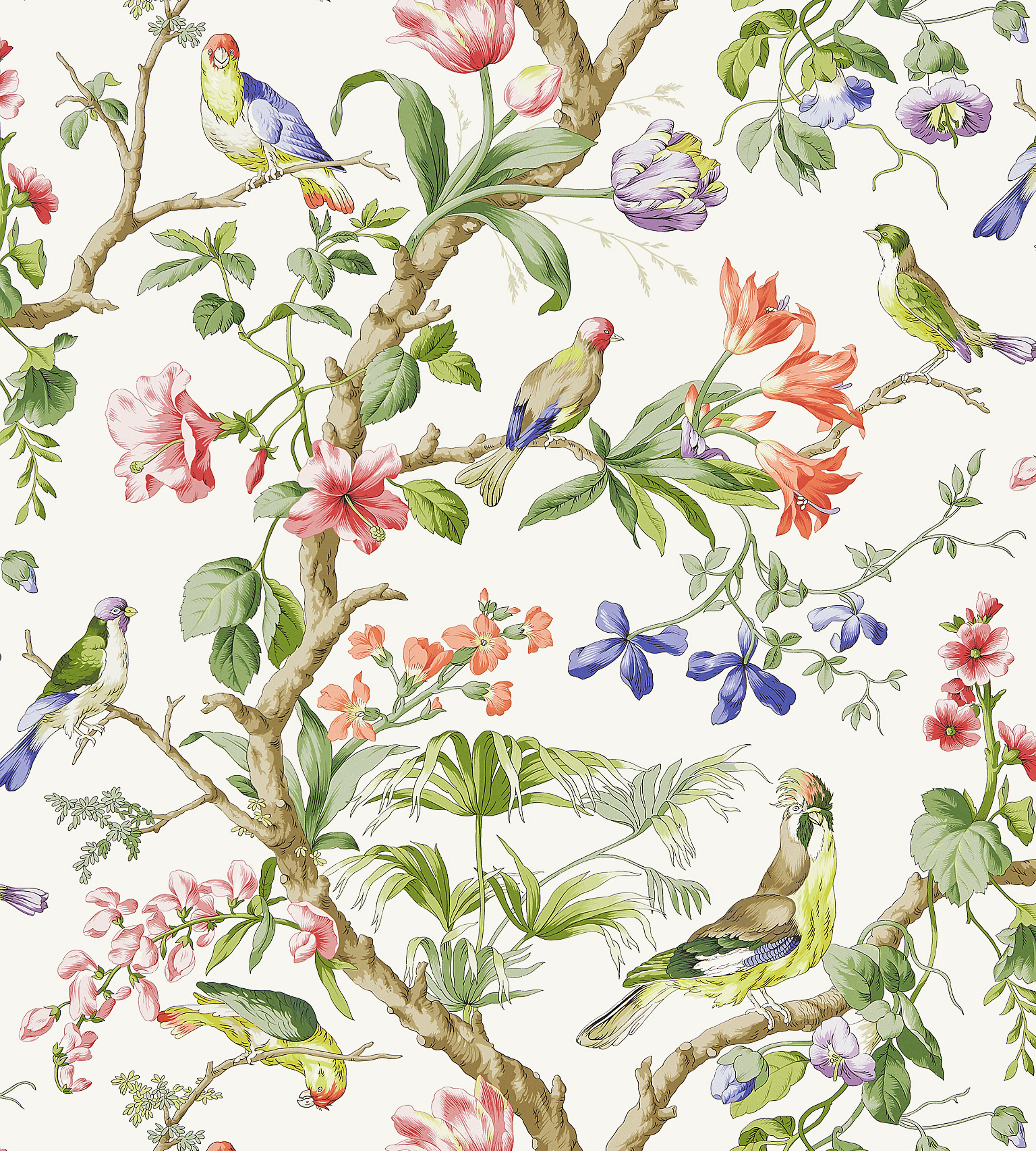 Shop Scalamandre Floral Wallpaper
