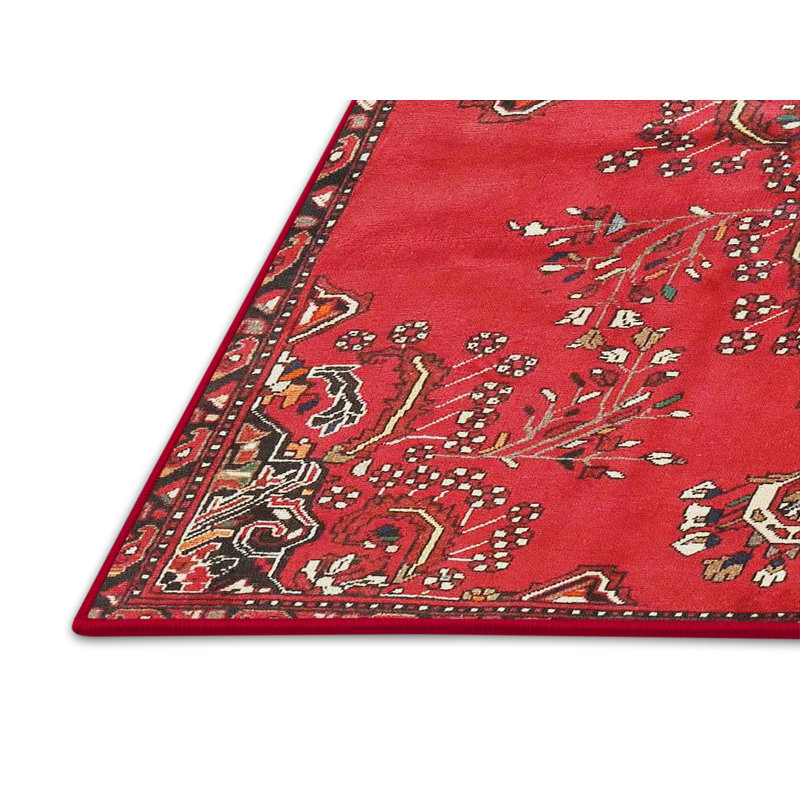 Oriental Indoor Rug, Rectangle 6' x 9'