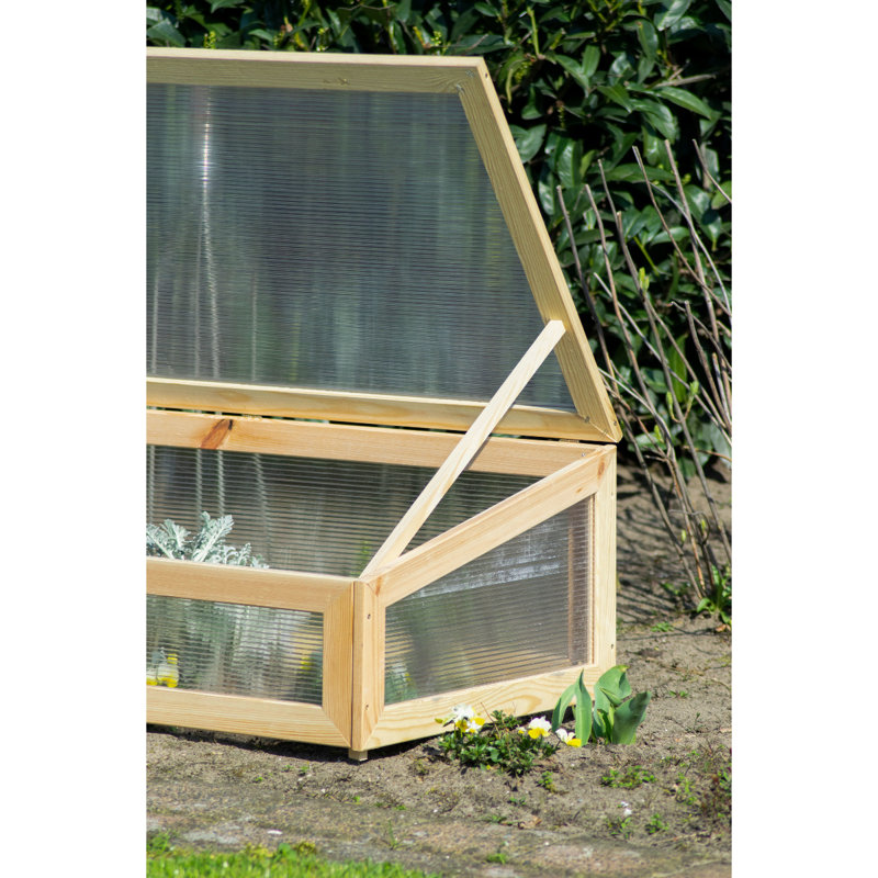 Aakifah 2 Ft W x 4 Ft D Cold Frame