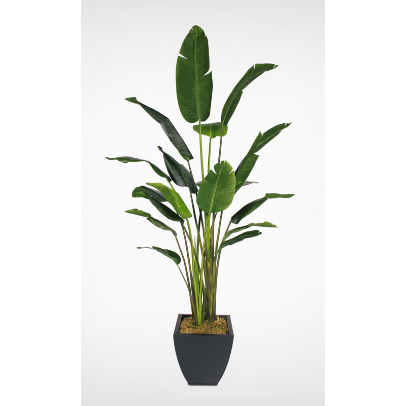 94'' Green Faux Bird Paradise Tree in Black Metal Pot
