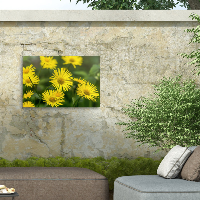 «Yellow Field» par Harri Aho, H 30 po x l 47 po